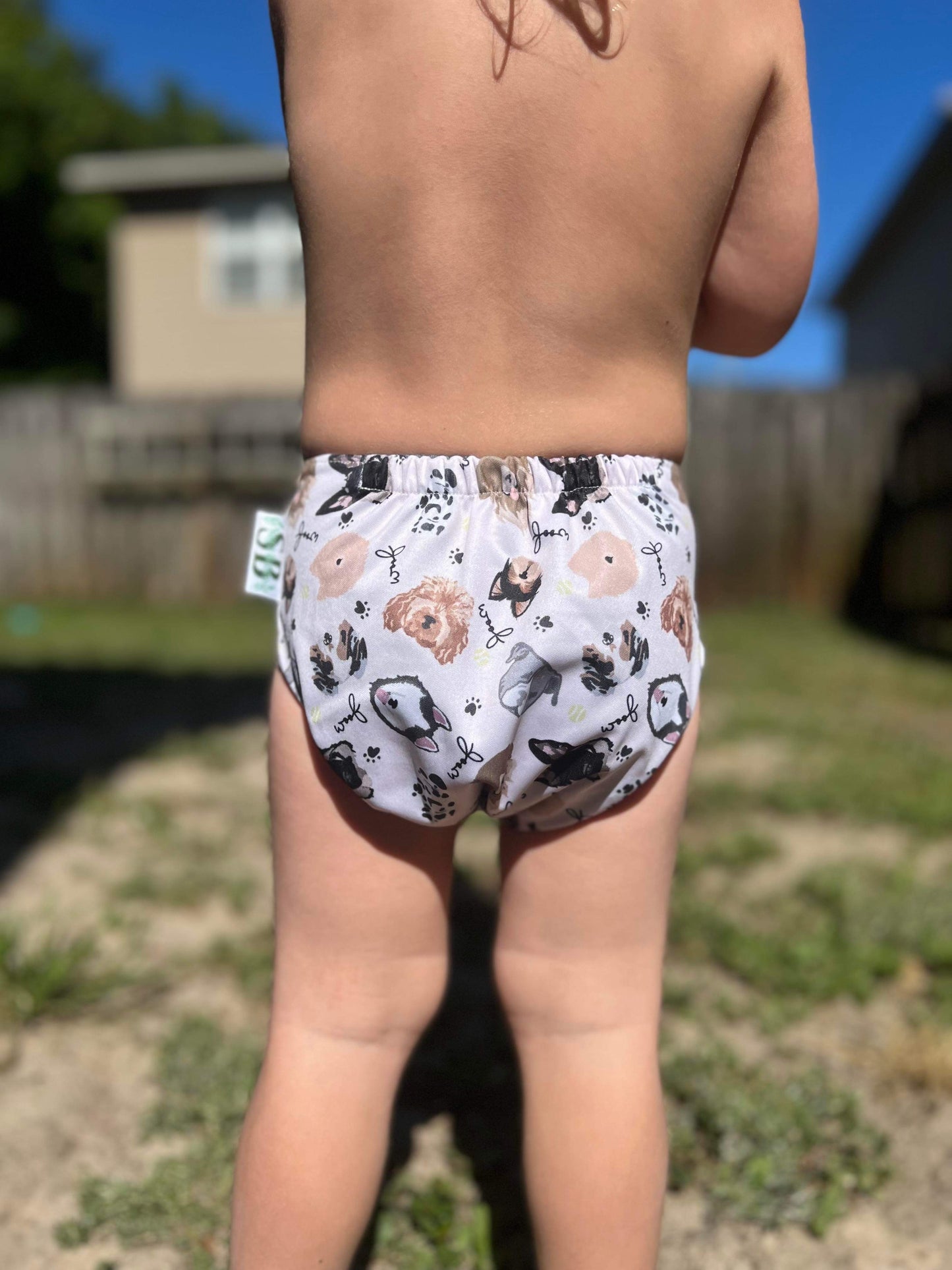 Loyalty- OS Pocket
